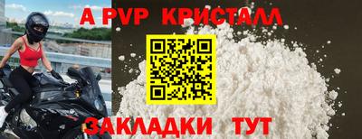 прущие грибы Заводоуковск