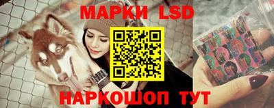 прущие грибы Заводоуковск