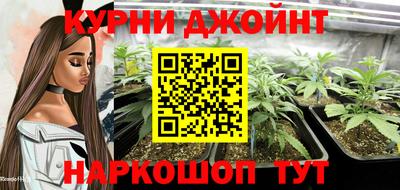 прущие грибы Заводоуковск