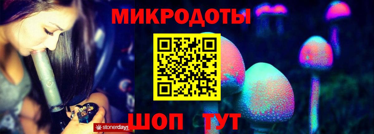 купить наркоту  Псилоцибиновые грибы прущие грибы  Кумертау  Вход с VPN  Галлюциногенные грибы Psilocybe 